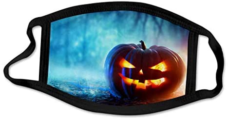 Halloween Decorations Facemask Reusable Face Bandana Decorative Face_Mask Scarf Fashion Outdoor and Indoor: Clothing