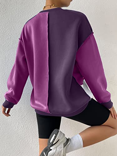 Women's Color Block Crew Neck Oversized Sweatshirt Drop Shoulder Casual Pullover