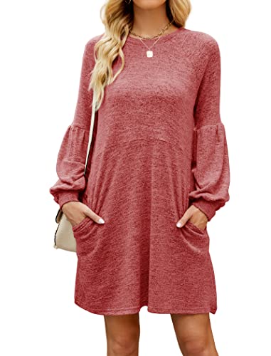 Fall Dresses for Women 2022 with Pocket Long Sleeve Sweater Dress Casual Brown