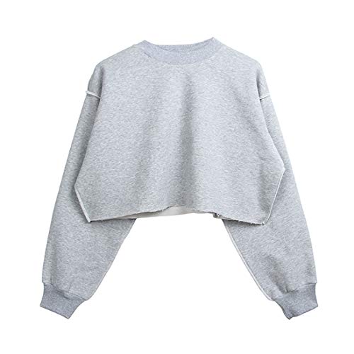 Women Pullover Cropped Hoodies Long Sleeves Sweatshirts Casual Crop Tops for Fall Winter ( Apricot)
