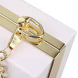 Women Acrylic Transparent Gold star Evening Bags Purses Clutch Vintage Banquet Handbag (Pink) Medium