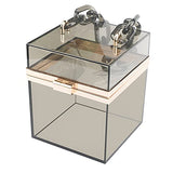 Women Acrylic Transparent Gold star Evening Bags Purses Clutch Vintage Banquet Handbag (Pink) Medium