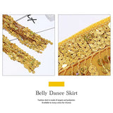 Belly Dance Hip Skirt Tassel Scarf Sequin Wrap Rave Costume for Women (Blue)