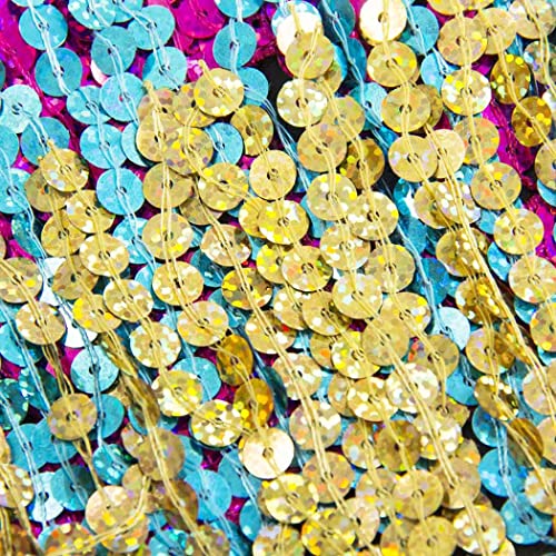 Belly Dance Hip Skirt Tassel Scarf Sequin Wrap Rave Costume for Women (Blue)