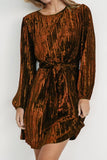 Velvet Round Neck Tie Waist Long Sleeve Mini Dress