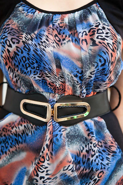 Multi-Color Animal Print Belted Dress