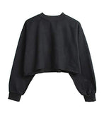 Women Pullover Cropped Hoodies Long Sleeves Sweatshirts Casual Crop Tops for Fall Winter ( Apricot)