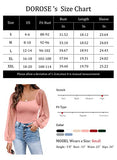 Women's Puff Sleeve Tops Mesh Sexy Casual Tee Shirts Blouses