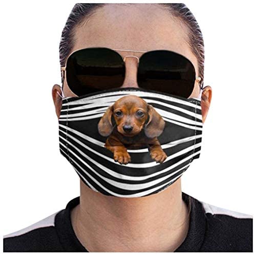 Facemask Funny Dogs Prints Breathable Washable Facemasks Filter for Women Men