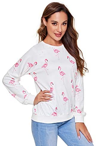 Women's Allover Animal/Plant Print Drop Shoulder Raglan Sleeve Round Neck Sweatshirt Lightweight Pullovers