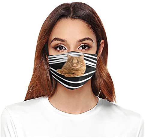 Adult Unisex Women Men Cute Cat Printed Breathable Washable Reusable Face Filter Can Be Placed(A)