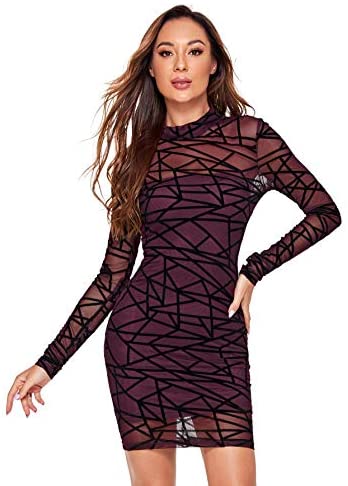 Women's See Through Mesh Long Sleeve Stretch Bodycon Dress Without Camisole