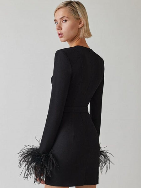 Women Winter Sexy Long Sleeve Feathers Hot Pink Black Mini Bodycon Bandage Dress
